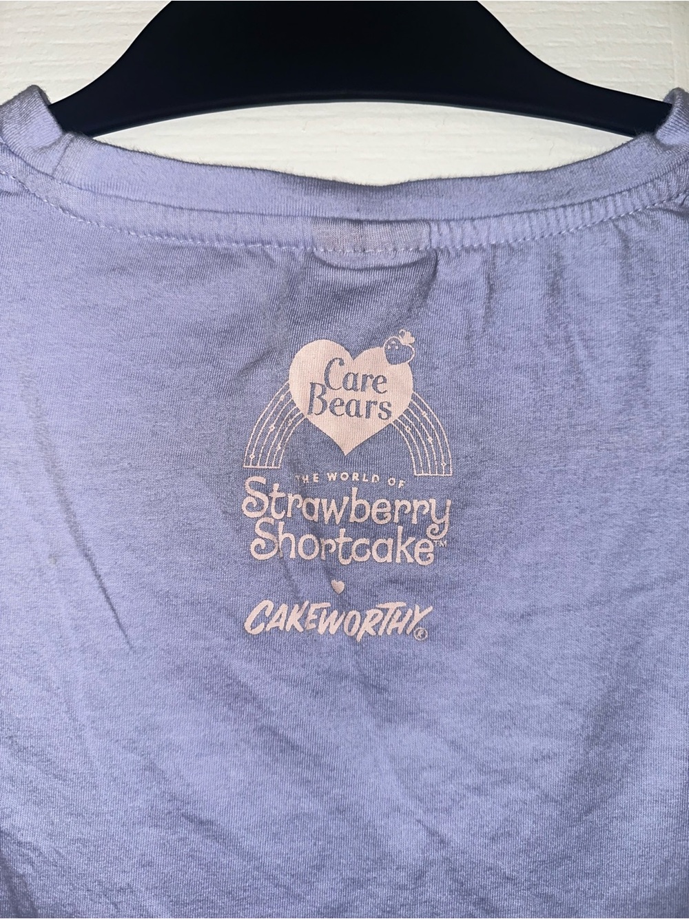 Strawberry Shortcake x Care Bears Long Sleeve - Picture 7 of 7